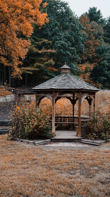 Wooden gazebo surrounded by autumn foliage and a grassy area.