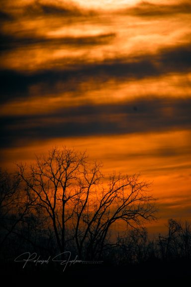 Silhouetted tree against a vibrant orange and dark cloud-streaked sky at sunset.